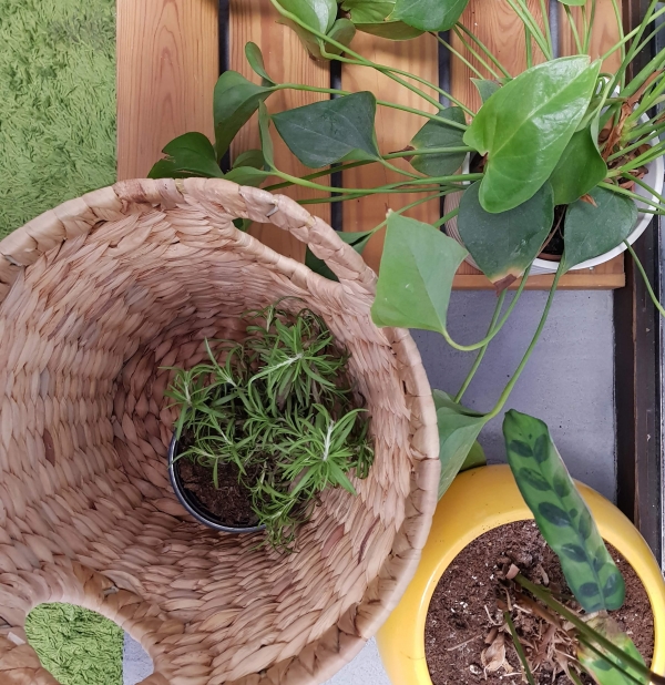 energy saving tips for summer add humidity